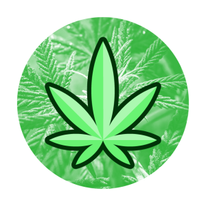 Main-Kingston-Cannabis-icon-flowers