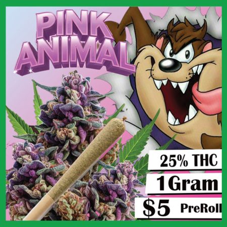 PINK ANIMAL 1G IND PRE-ROLL