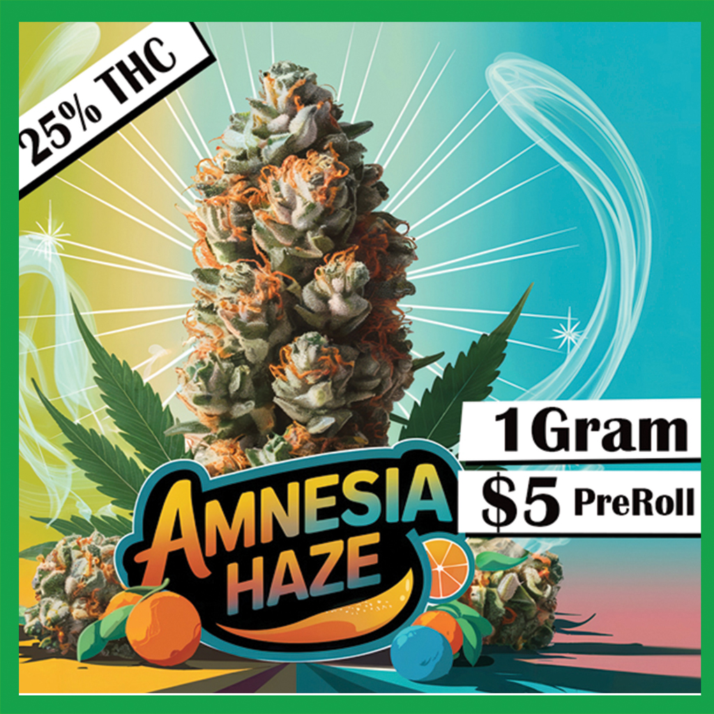 189-Pink-Amnesia.jpg