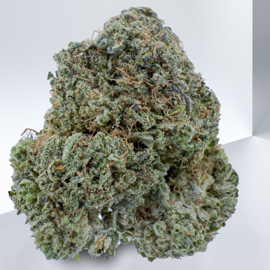 446-Pink-Bubblegum.jpg