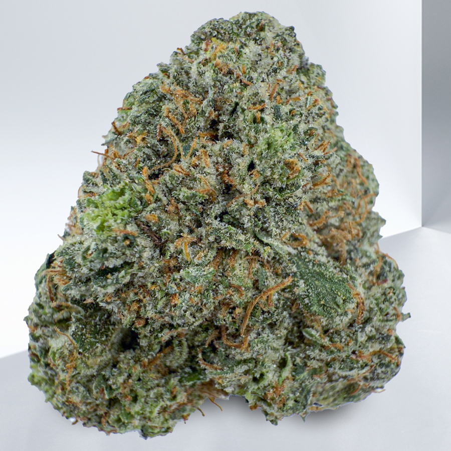 514-Pink-Alien.jpg